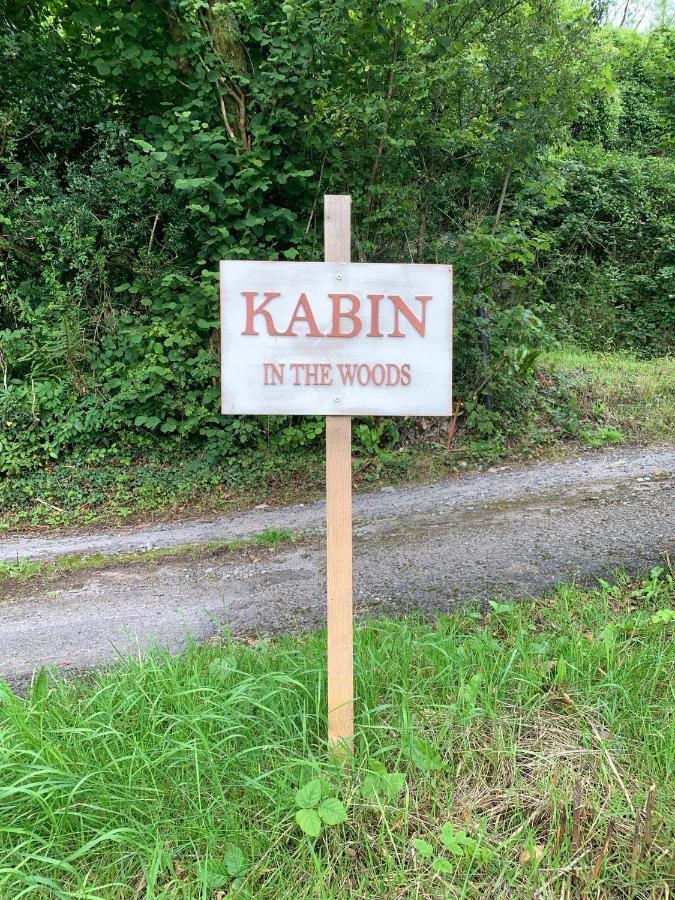 Kabin In The Woods Llandybie Luaran gambar