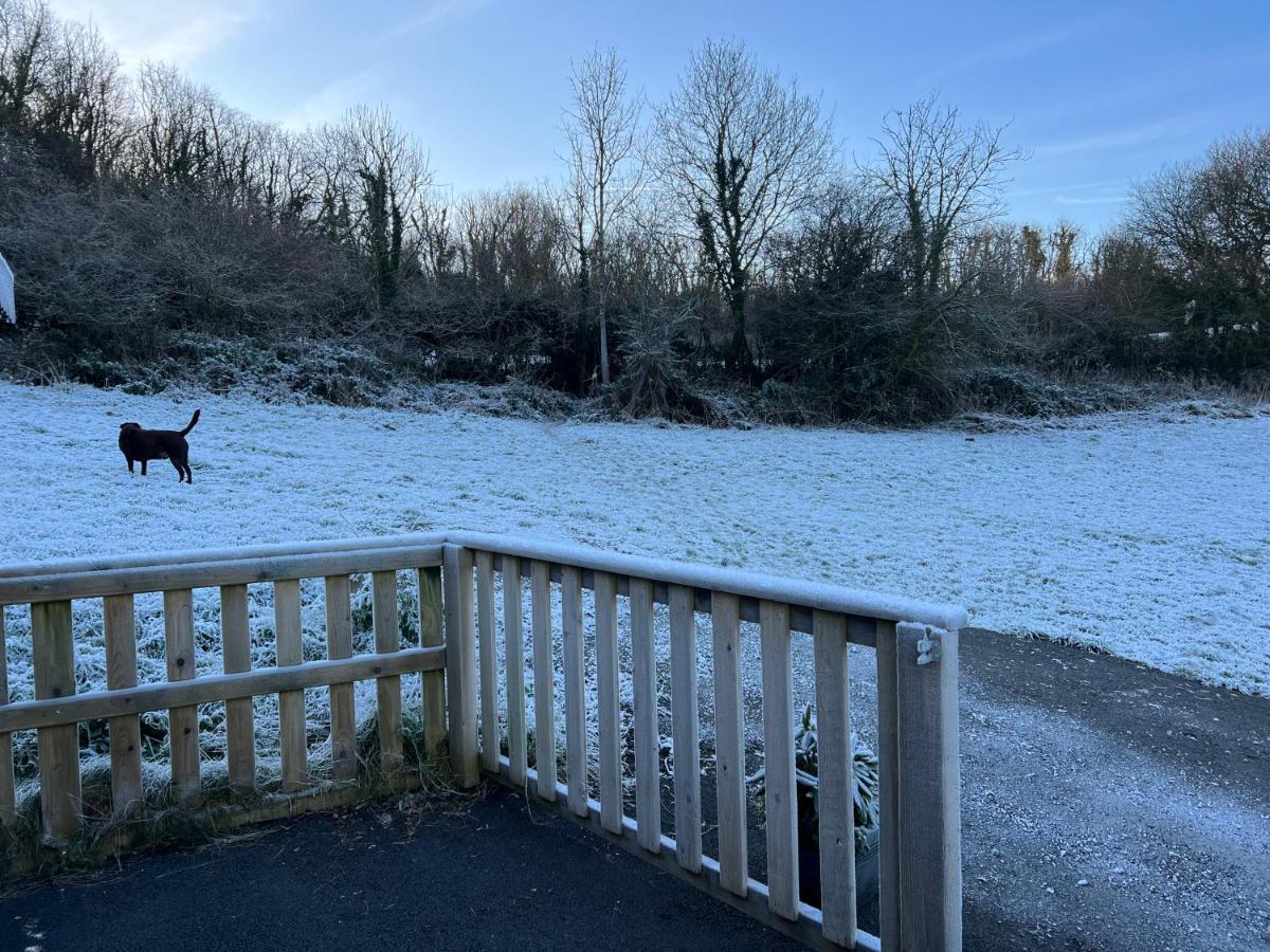 Kabin In The Woods Llandybie Luaran gambar