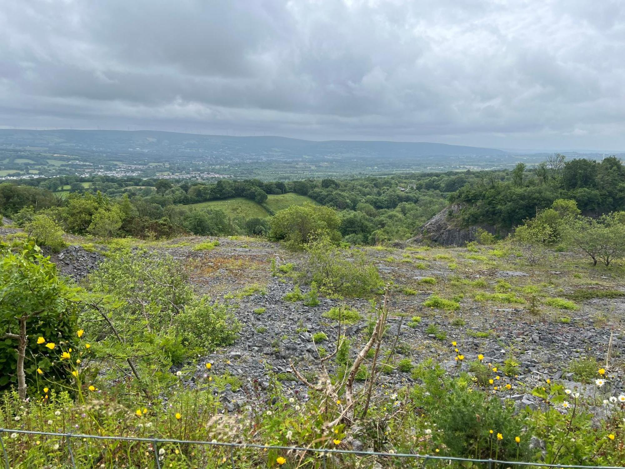 Kabin In The Woods Villa Llandybie Luaran gambar