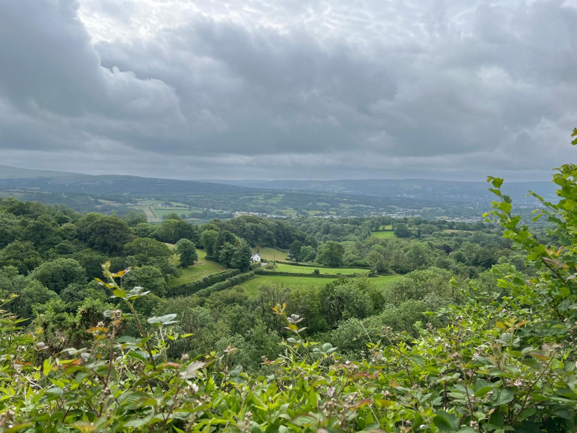 Kabin In The Woods Llandybie Luaran gambar
