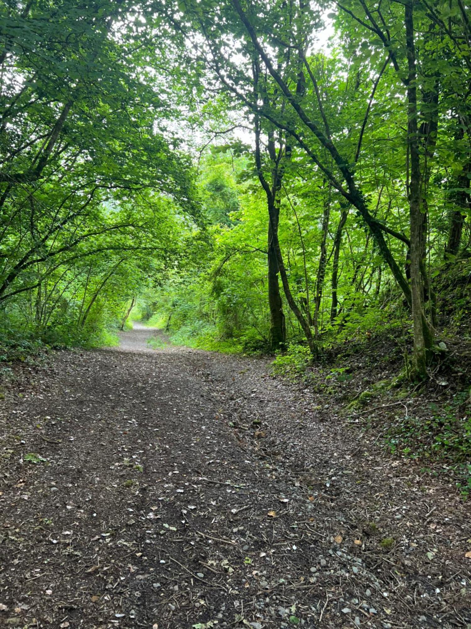 Kabin In The Woods Llandybie Luaran gambar